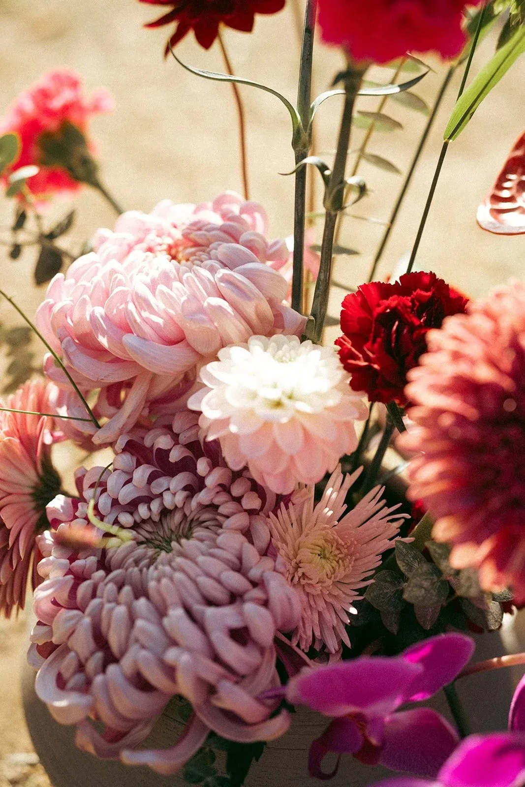 Pink and red flowers, close up