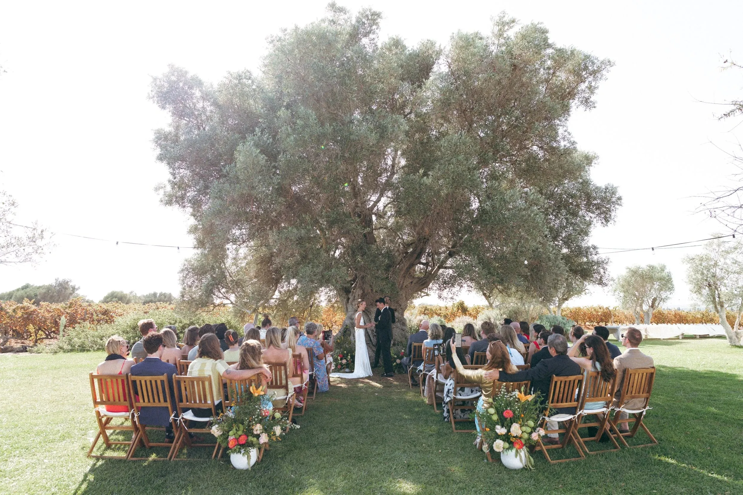 Guests seated under the old olive tree